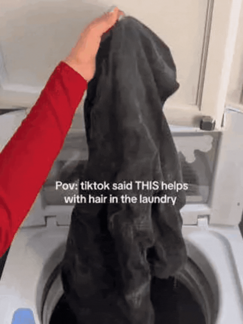 Pet hair remover for laundry