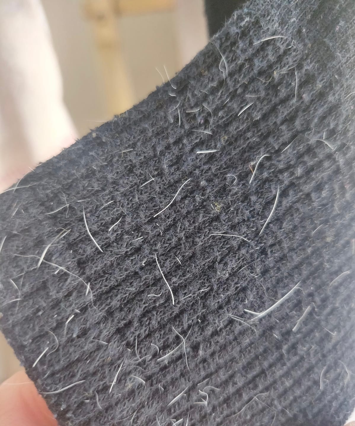Customer review photo